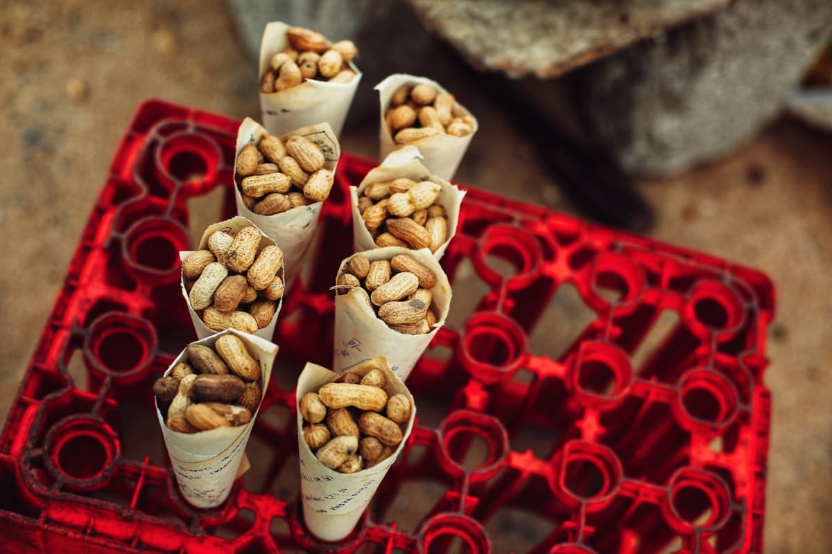 Cashew Nuts